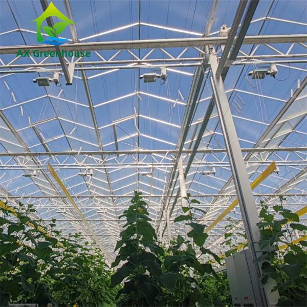 Commercial Multispan Large Venlo Glass Greenhouse Hot Galvanized Steel Frame
