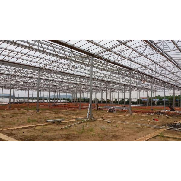 Hot Galvanized Steel Frame Solar Panel Power System , Strawberry Solar Power Energy System