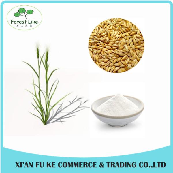 Hordeum Vulgare / Barley / Hordeum Extract Powder