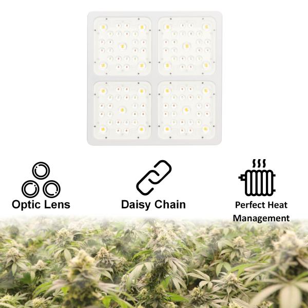 Super Penetration Greenhouse LED Grow Lights 400W High PAR Output