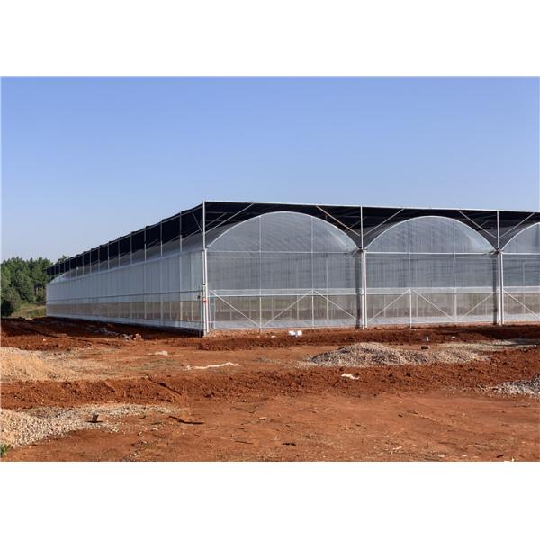 Galvanized Steel Frame Plastic Film Greenhouse Good Insulation Performance