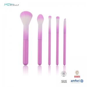  Colorful 5pcs Cosmetic Makeup Brush Set With pink Plastic Handle Manufactures