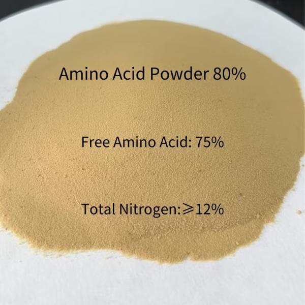 Soybean Plant Based Free Amino Acid 75% Amino Acid Powder Fertilizer 80%