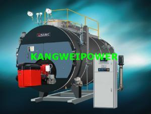  Industry Biomass Coal Fired Steam Boilers Double Drum Chain Grate Combustion Manufactures