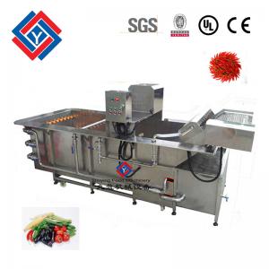  800KG/H Capacity Vegetable Cleaning Machine With Sand Blasting Surface Manufactures