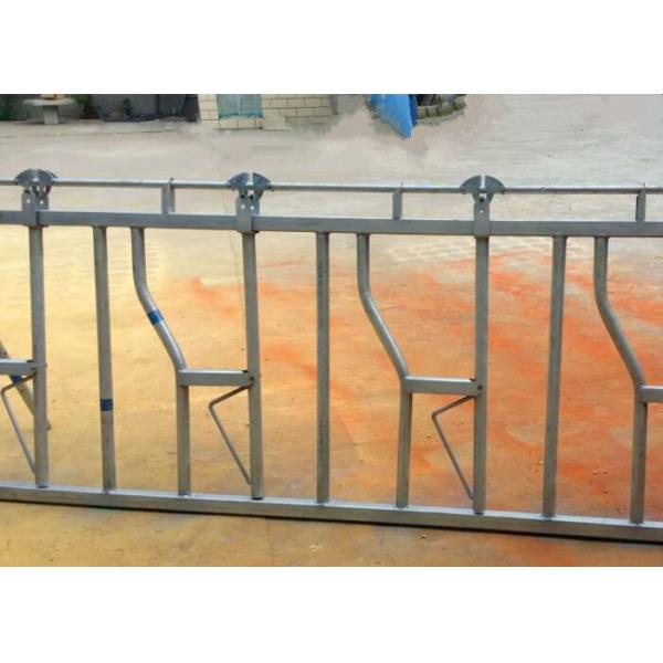 Hot Dip Galvanized Pipe Cow Head Lock With Motion Bar , Montant , Mantlet