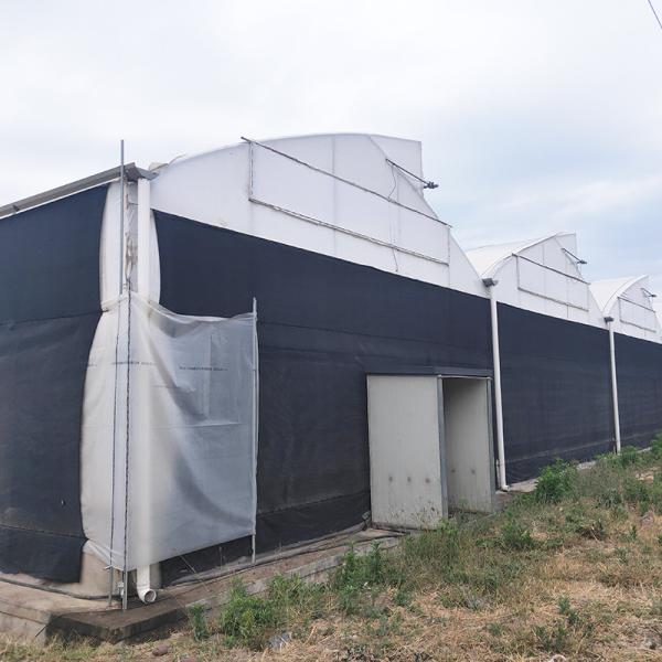 100% Blackout Light Deprivation Mushroom Greenhouse With Net Shade System