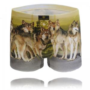  Wholesale Men Underwears Boxers Penis sports compression underwear Underpants Modal Cotton Manufactures