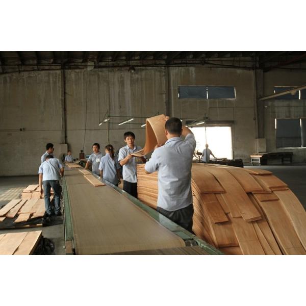 Guangdong Great Forest New Decoration Materials Co.,LTD.