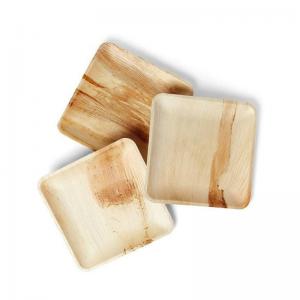  OEM Biodegradable Palm Leaf Plates With Laminated Packing Manufactures