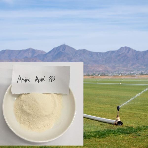 N16 Amino Acid Powder Organic Nitrogen Chlorine Free Agriculture Foliar Fertilizer