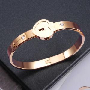  Tagor Jewellery Super Quality 316L Stainless Steel Bracelet Bangle TYGB042 Manufactures