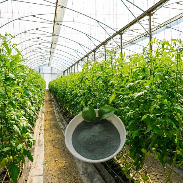 Soy Protein Hydrolysate Amino Acid Chelated Micronutrients Copper Organic Fertilizer