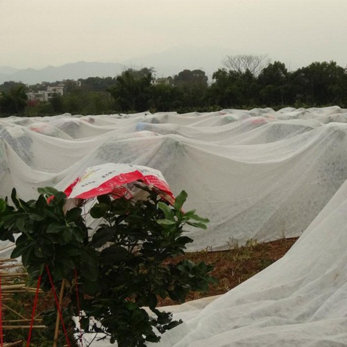 Thermal Insulation Agricultural Nonwoven Seeding Cultivation Water-Saving Weed Control