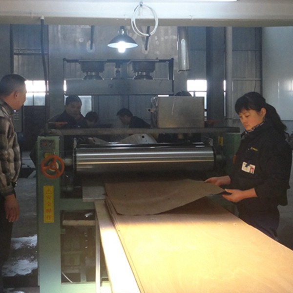 Guangdong Great Forest New Decoration Materials Co.,LTD.