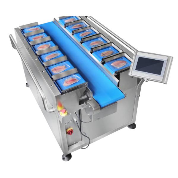 30WPM Mushroom Fruit Multihead Weigher 12 Head Belt Scale