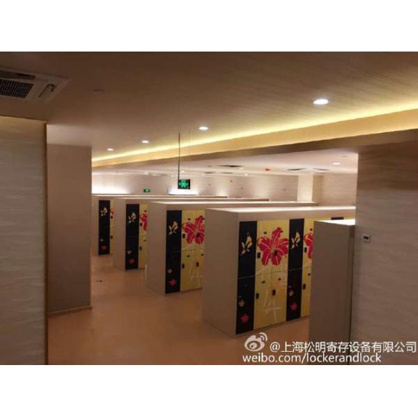 SPA IOT Locker 6 Comparts  3 Column Double Tier Lockers With Print Picture Door