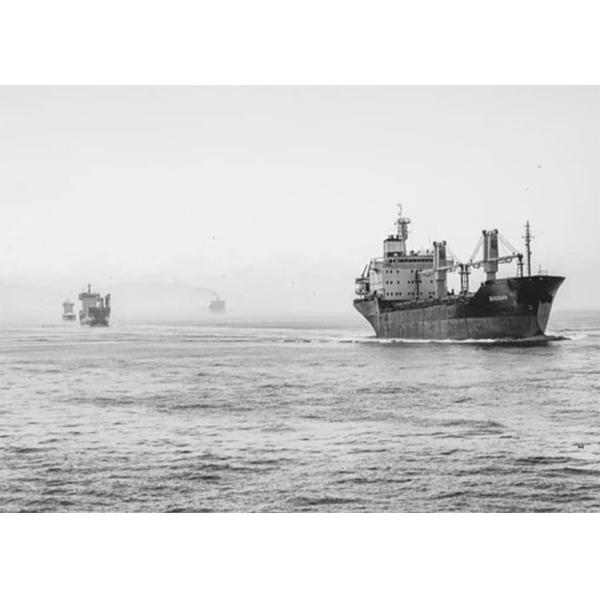 DDP DDU North American Freight Forwarding , Freight Shipping From China To US