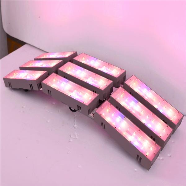 horticulture, agriculture, greenhouse, university research center led grow light  plant growth lights, flowering cultiv