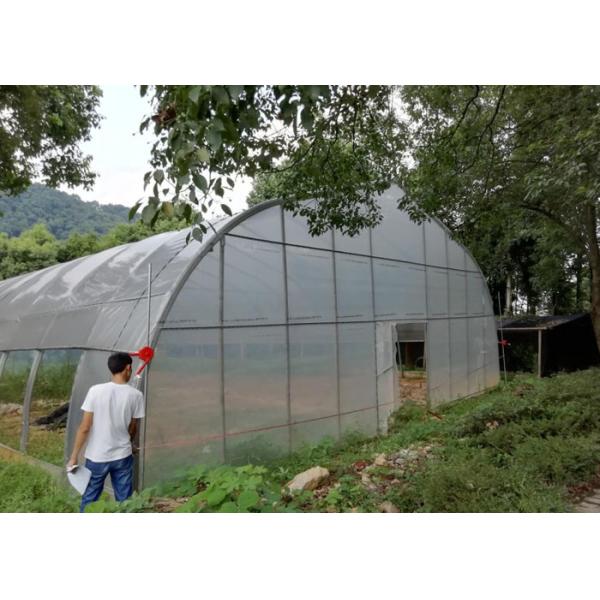 Tomato Strawberry Double Layer Poly Greenhouse Multi Span Large Size Arch Shape