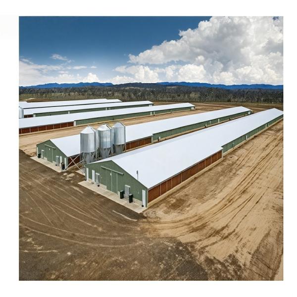 Prefabricated Steel Poultry House Q355B Beams 20lb Roof Load