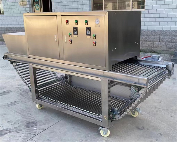 onion peeling machine, onion peeler, onion skin removing machine