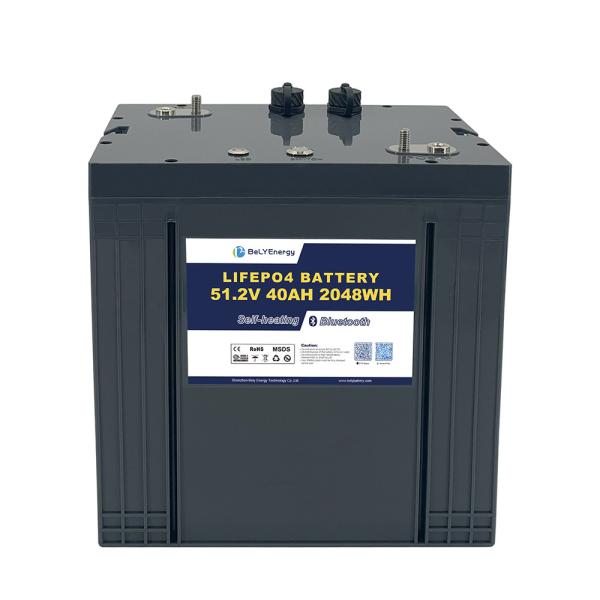 LiFePO4 Golf Cart Battery 48V 40AH With Self-heating And Communication Protection Class IP65