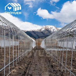 Galvanized Steel Pipes Poly Film Greenhouse With Accessories Manufactures