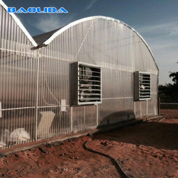 Sides Ventilation Commercial Polycarbonate Sheet Greenhouse Flame Retardant