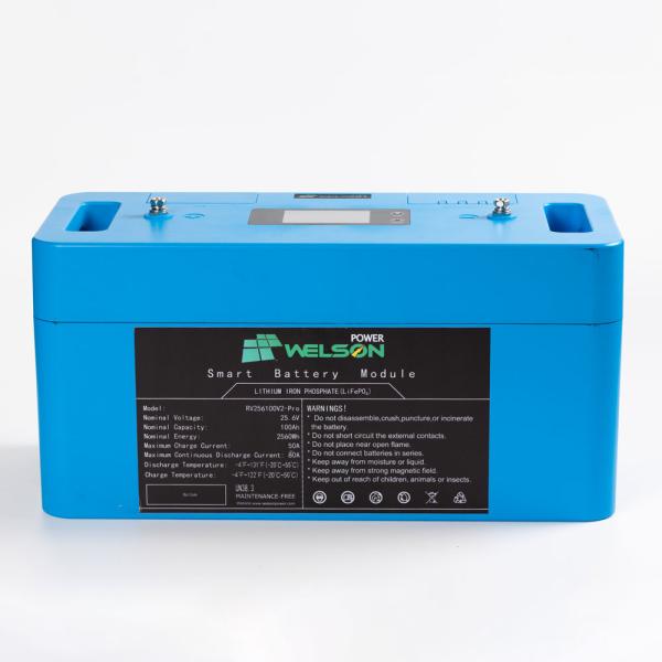 Deep Cycle Lifepo4 Battery 12V 100ah 120ah 150 250ah BMS For Car RV E Bike Electric