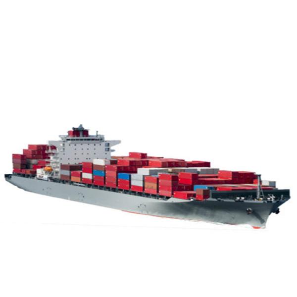 FCL LCL International Sea Freight Shipping From China To Chile