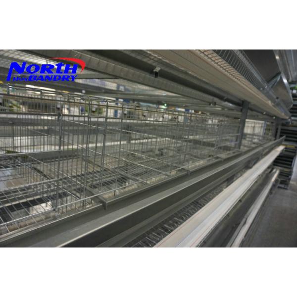 Serbia A frame laying hens battery cages / used poultry battery cages for sale, automatic