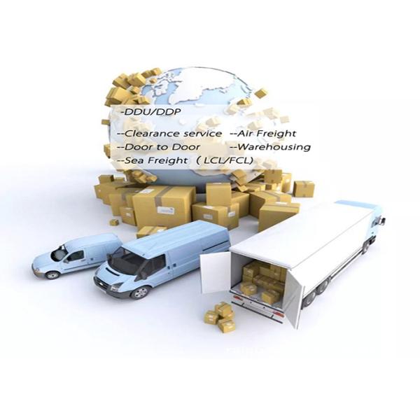 20FT 40FT International Sea Freight Forwarding , DDP Shipping From China To Pakistan