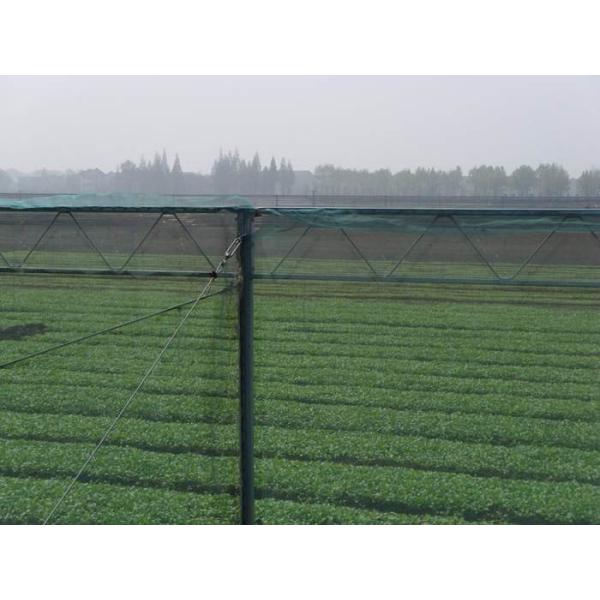250 Meters 100% HDPE Insect Mesh Netting For Vegetable Greenhouse Agricultural