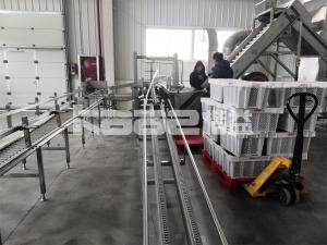  Industrial Belt Conveyor Dryer Machine Continuous Microwave Shrimp Dryer Manufactures