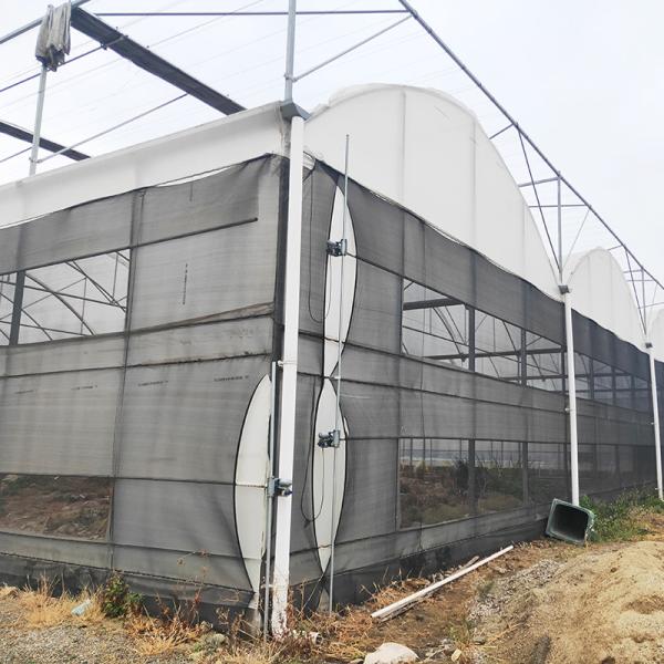 Commercial Multi-span Polytunnel Light Deprivation Greenhouse With Shade Net