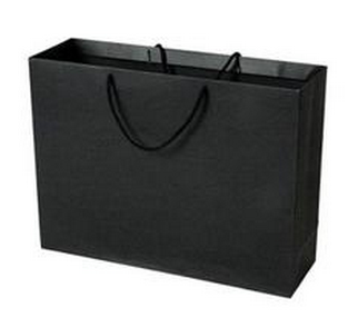 Glossy Lamination Rope Handle Paper Bags for Clothing Boutiques