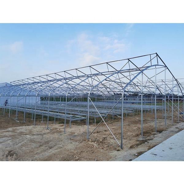 Customized Galvanized Steel Frame Greenhouse For Flowers And Berries