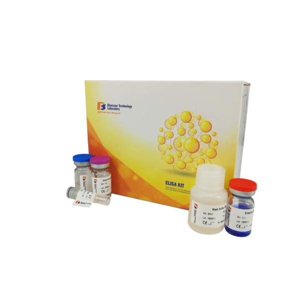 Nitric Oxide Sandwich Elisa Kit High Sensitivity / Precision 96 Wells