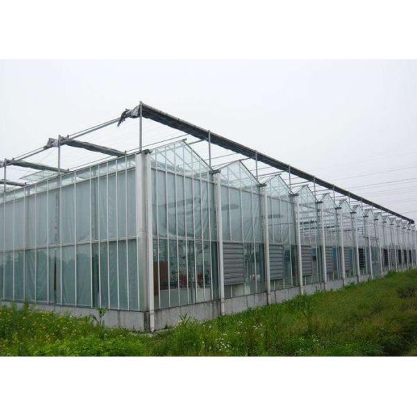 Polycarbonate Plastic Film Multi Span Agricultural Greenhouse