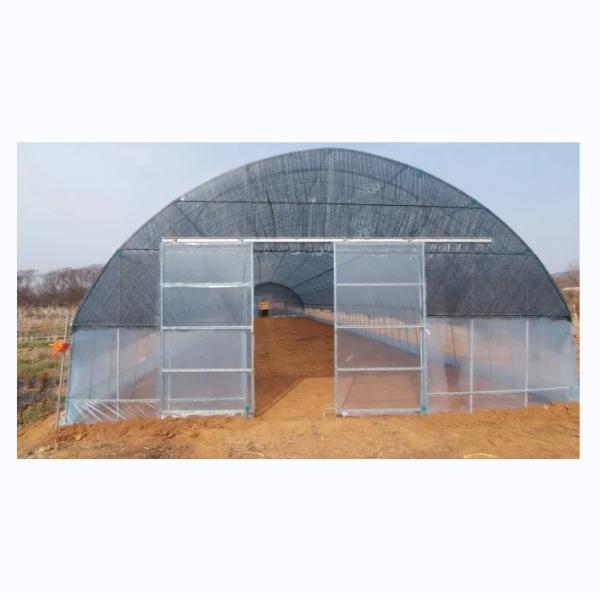 High Tunnel Film Covered Tomato Greenhouse with Shade Net Single Layer 10-100m Length