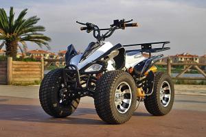  250cc 4 Stroke Single Cylinder Water Coole Four Wheel Atv 77km/H Manufactures