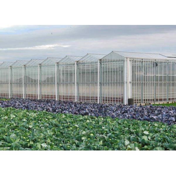 Hydroponic Planting Agricultural Polycarbonate Greenhouse