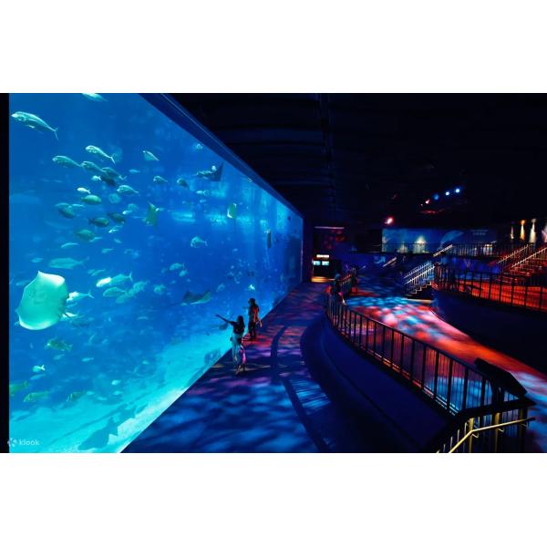 Various Shapes Fiberglass Above Ground Acrylic Swimming Pool with Moulding Processing