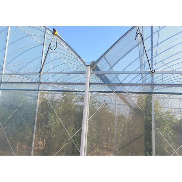Rose Cherry Tomato Plastic Cover Greenhouse Single Span With Hydroponics System
