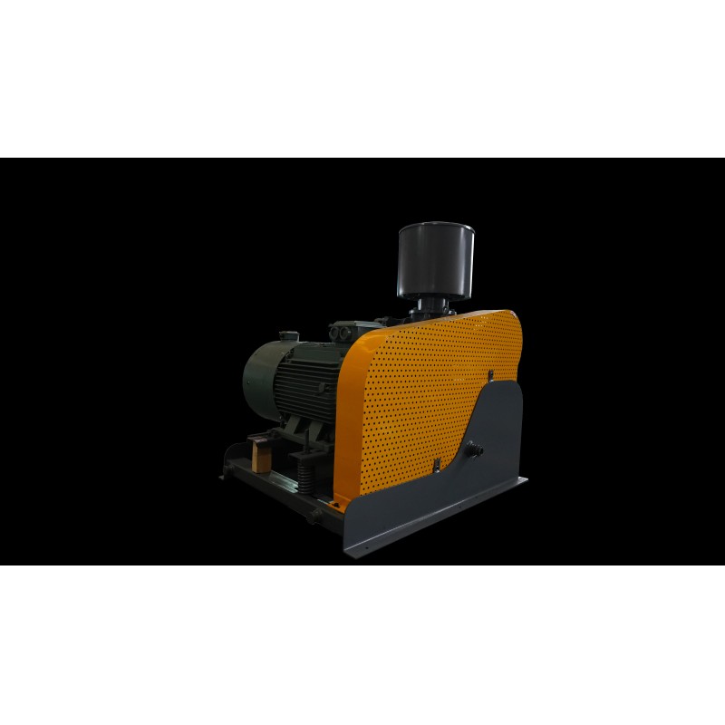 Hygienic Rotary Lobe Vacuum Pump for Sanitary Food and Beverage Applications