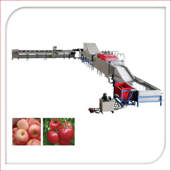 Automatic Electronic Fruit Washing And Waxing Machine 5MT/H