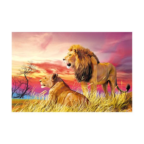 PET 50*70cm 3D Lenticular Pictures , Custom 3d Lenticular Photo With Frame