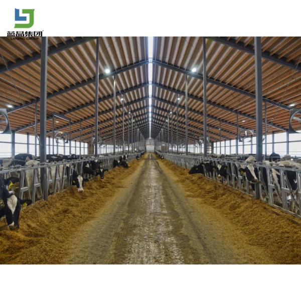 Low Cost Prefab Light Galvanized Fast Assembling Steel Structure Construction Livestock Farm  Cow Cattle Chicken Automatic Free Range