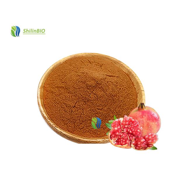 Pure Pomegranate Extract  40%-98% Ellagic acid